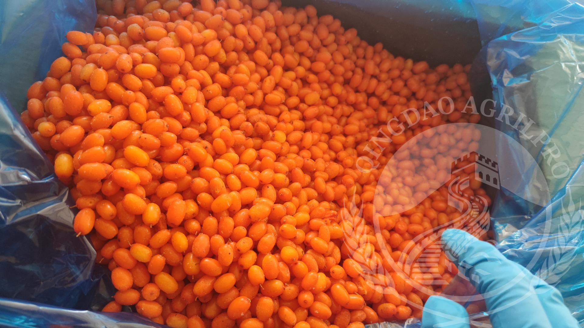 sea buckthorn