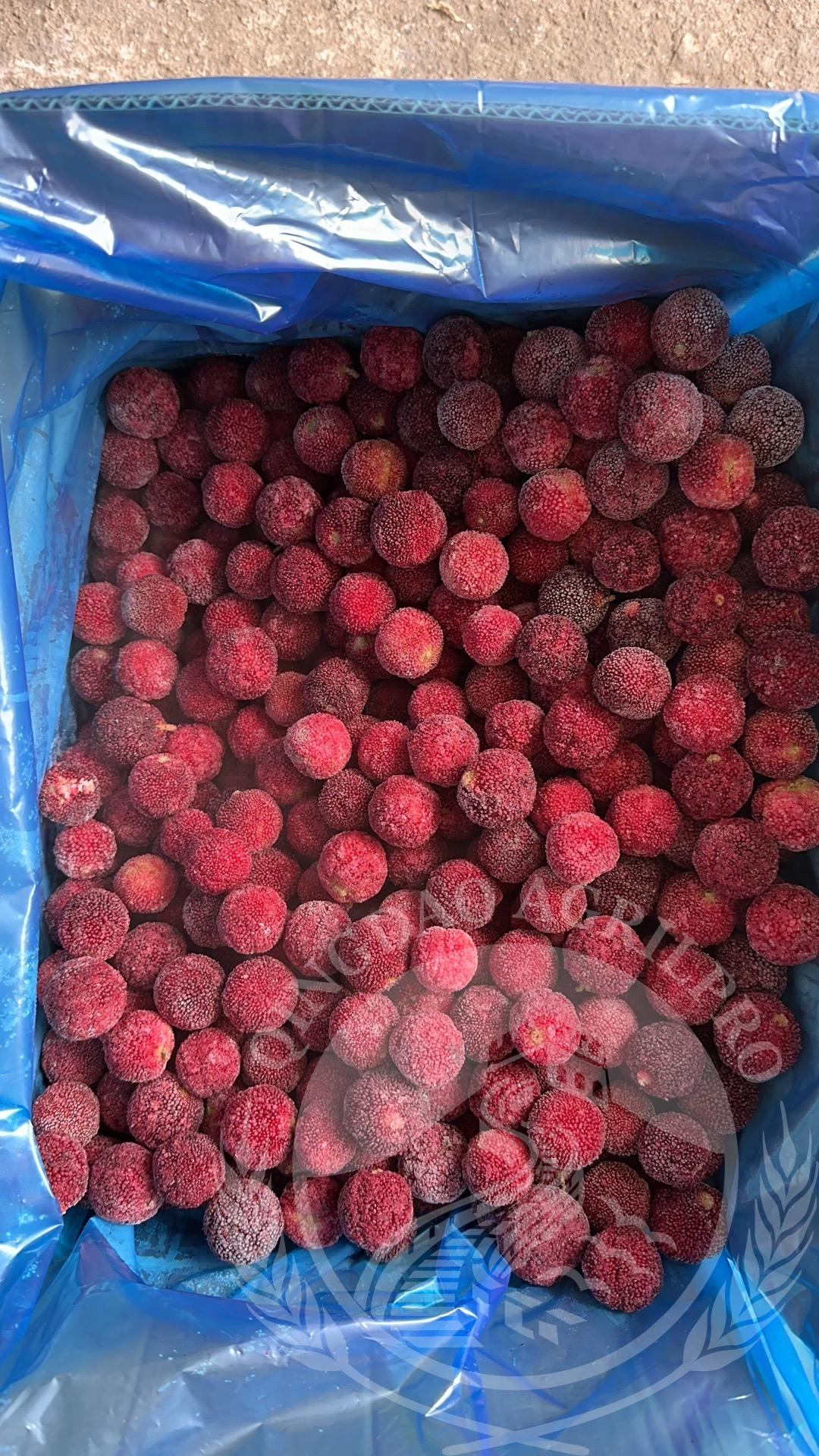 waxberry