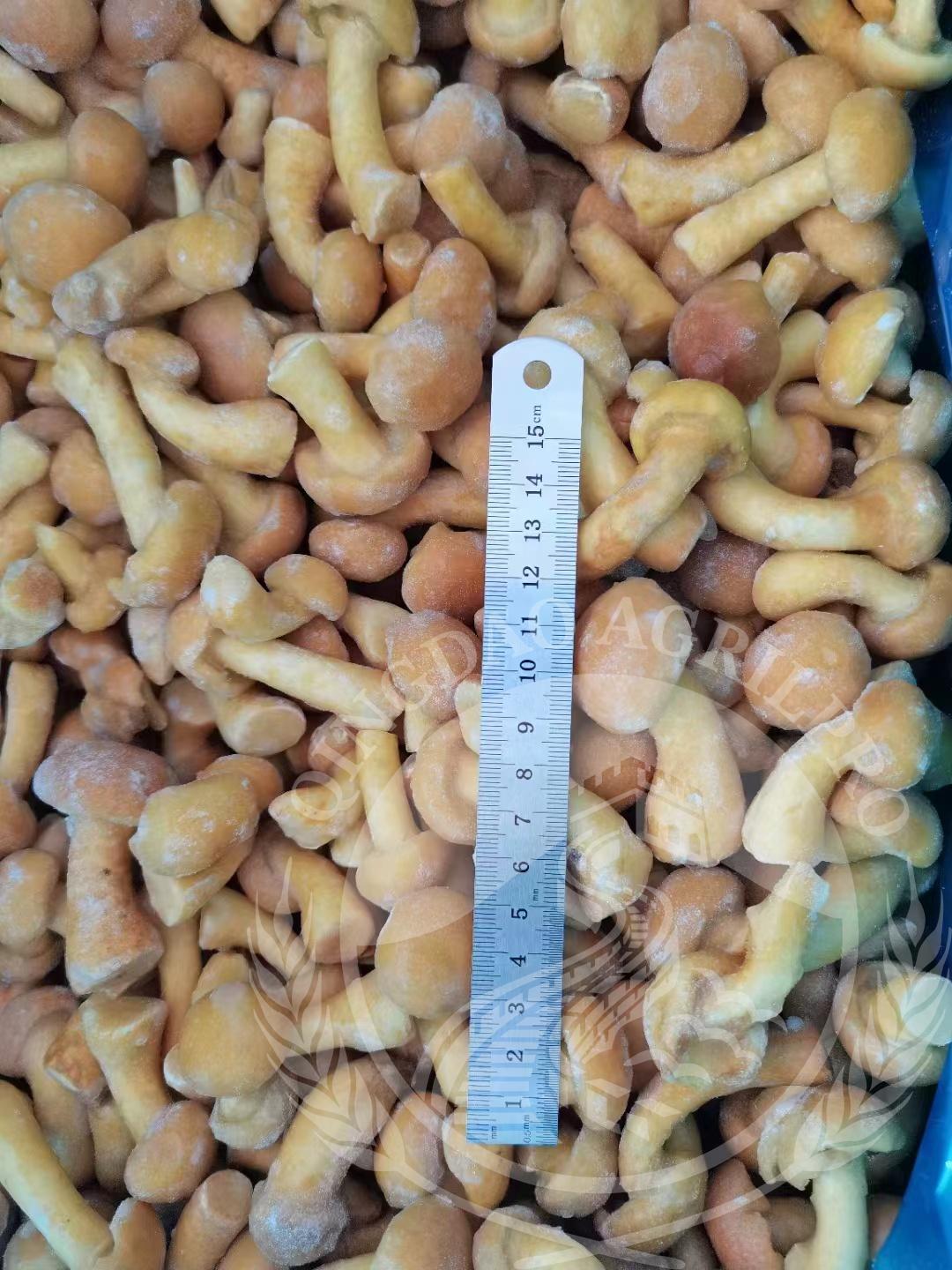 Qingdao Agrilpro Imp. & Exp. Co., Ltd.