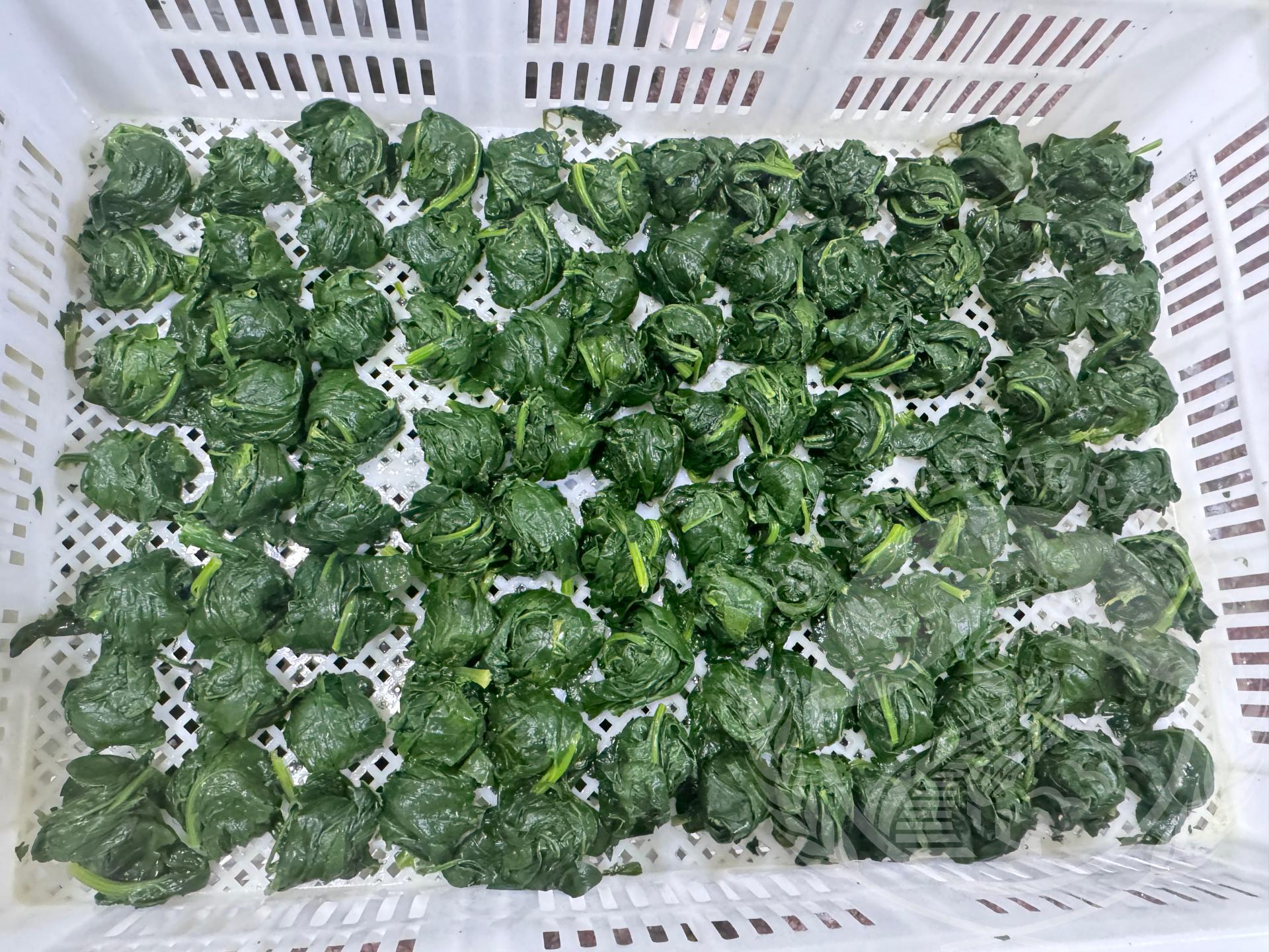 Qingdao Agrilpro Imp. & Exp. Co., Ltd.